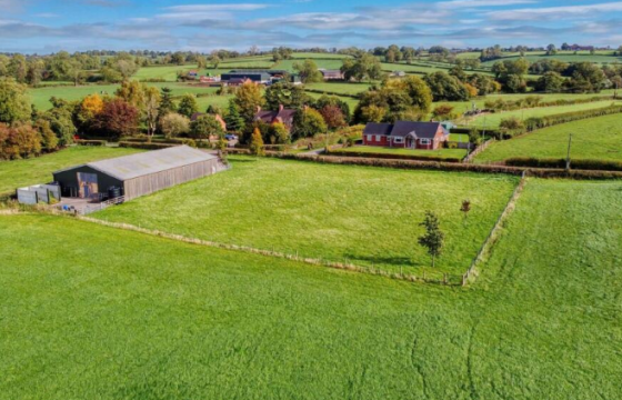 Conversion Opportunnity in Roston photo
